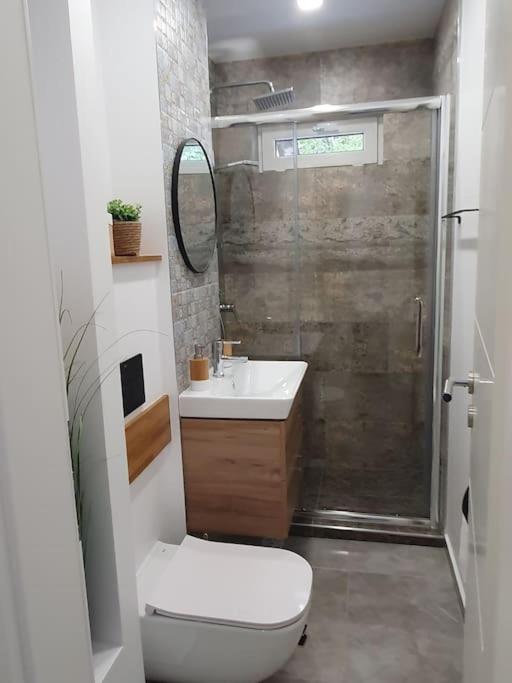 Apartament Ama Sibiu Exterior photo