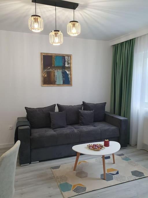 Apartament Ama Sibiu Exterior photo