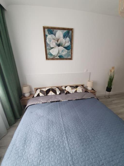 Apartament Ama Sibiu Exterior photo