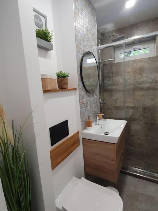 Apartament Ama Sibiu Exterior photo